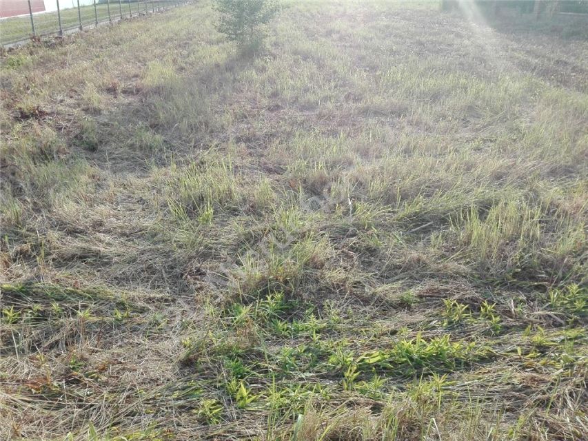 Działka budowlana sprzedam