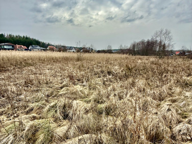 Działka rolna Karakule