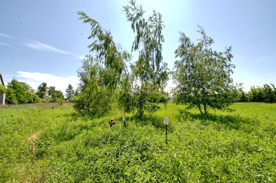 Działka Byków