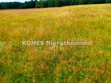Działka Porbady
