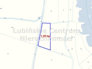 Działka Ścinawa