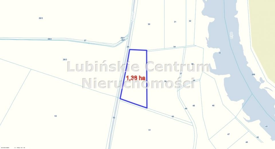 Działka Ścinawa