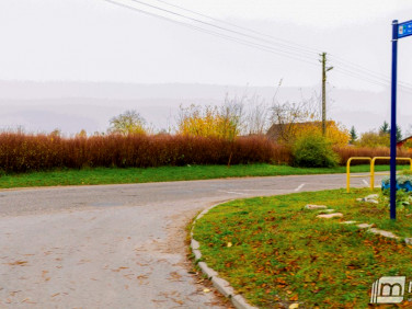 Działka Kościuszki