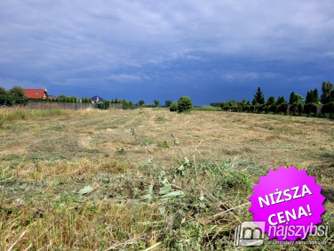 Działka Lubczyna