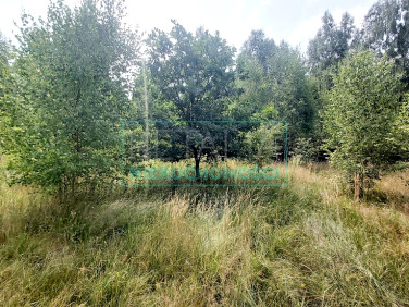 Działka Żyrardów