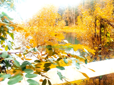 Działka siedliskowa Kamionka sprzedam