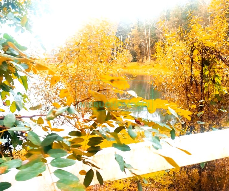 Działka siedliskowa Kamionka sprzedam