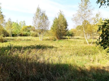 Działka Białystok