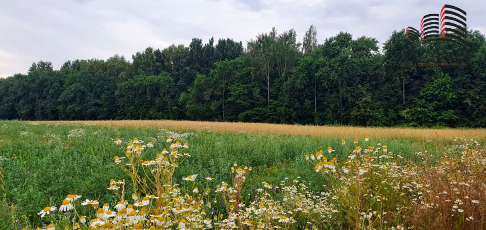 Działka budowlana Motycz