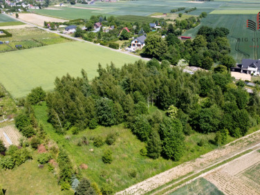 Działka Krępiec
