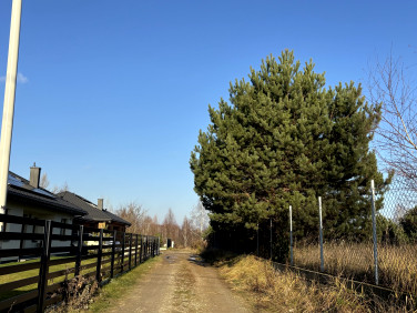 Działka rolna, ul. Trakt Królewski