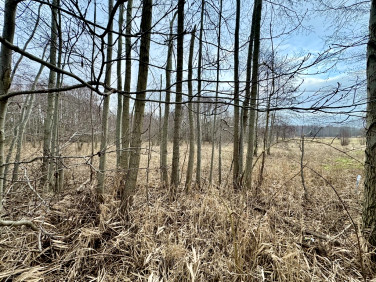 Działka Smolice