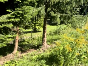 Działka budowlana sprzedam