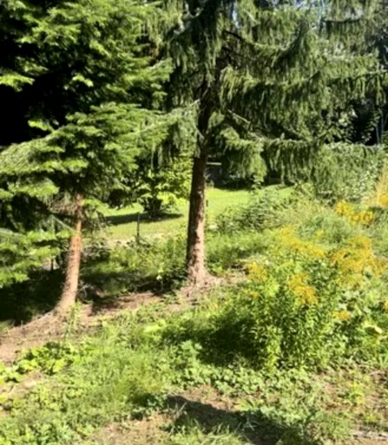 Działka budowlana sprzedam