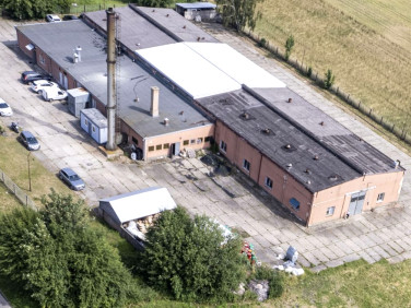 Budynek użytkowy Żuromin sprzedaż