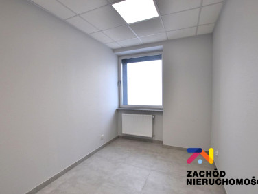 Lokal Zielona Góra wynajem