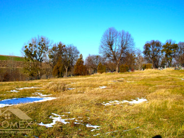 Działka usługowa Rybnik