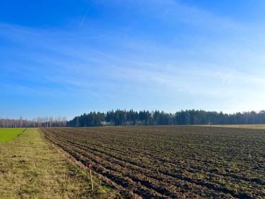Działka przy lesie