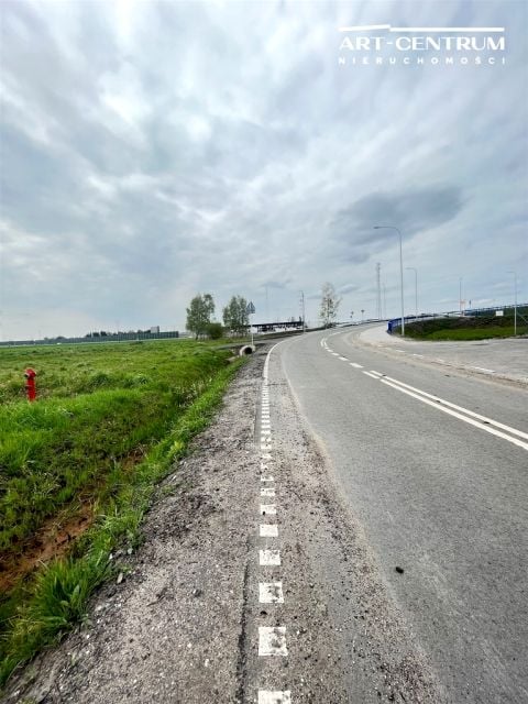 Zdjęcie 3