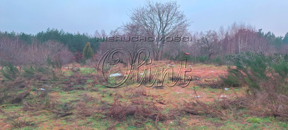 Działka Wrzeście