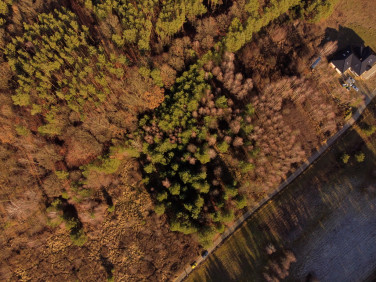 Działka Białe Błoto