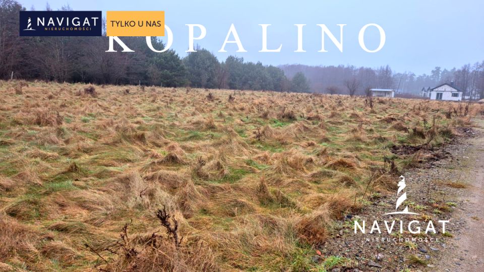 Działka rekreacyjna Kopalino