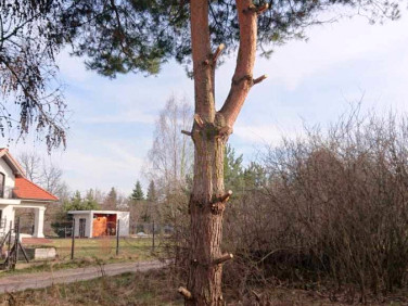 Działka inna Stara Wieś sprzedam
