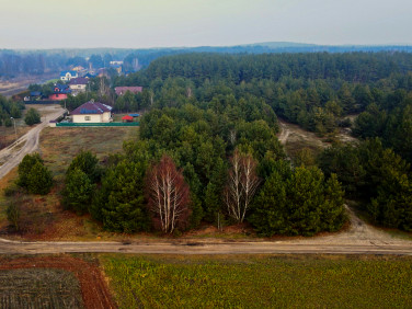 Działka przy lesie