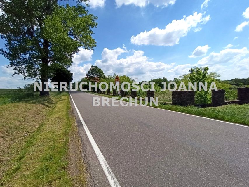 Działka Damianowo
