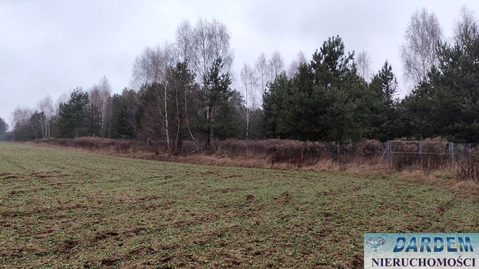 Działka Karakule