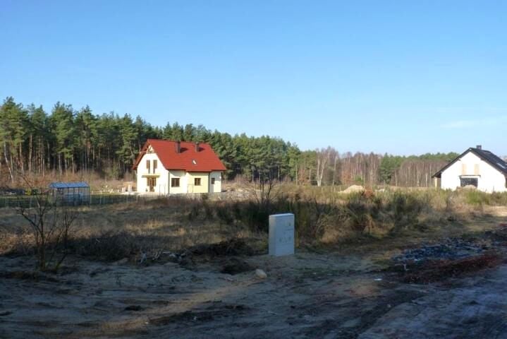 Zdjęcie 3