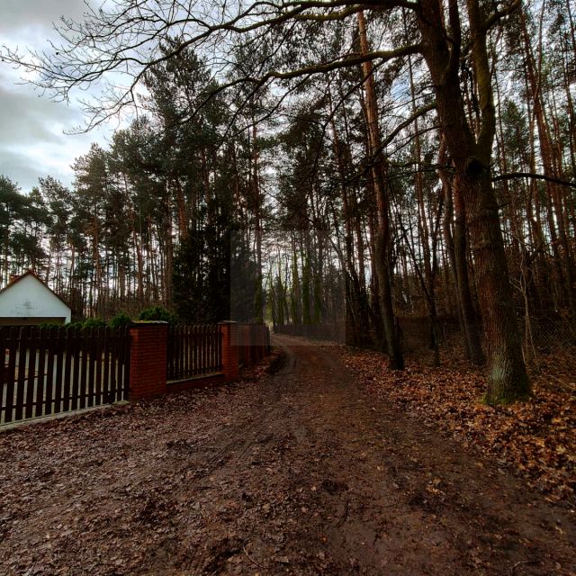Działka Siestrzeń