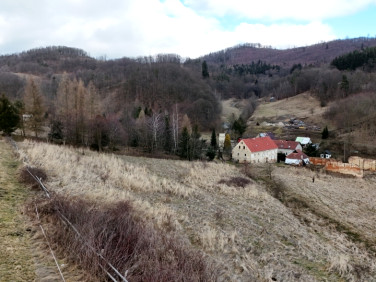 Działka Wilcza