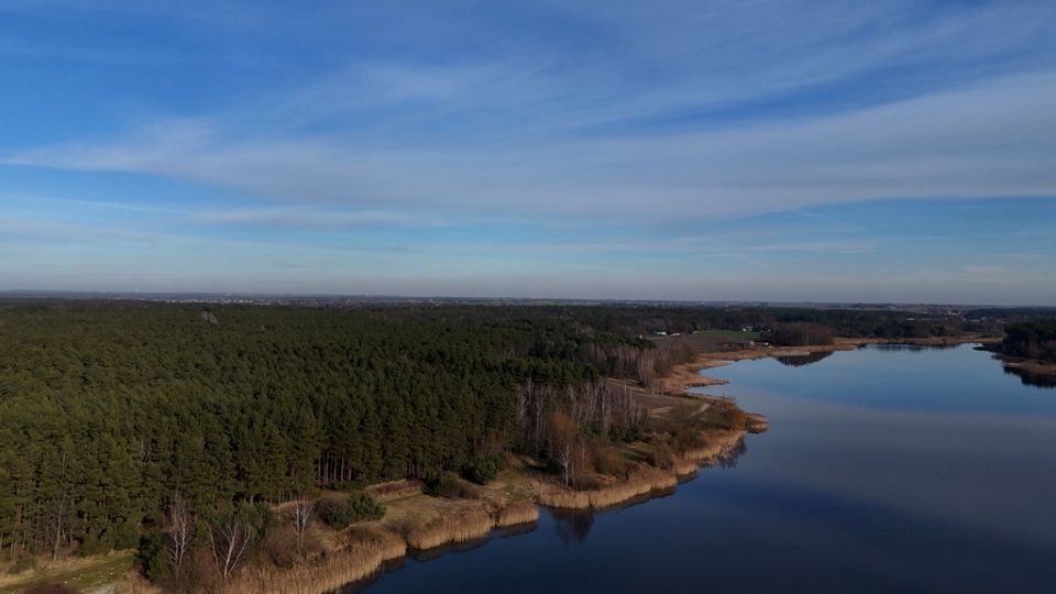 Działka przy lesie