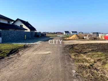 Działka Żórawina