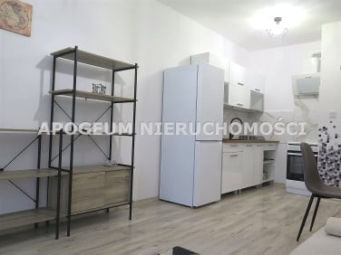 Mieszkanie apartamentowiec wynajem