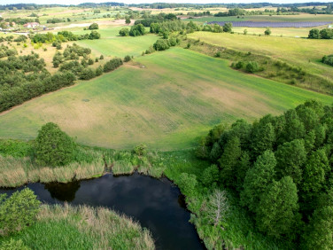Działka Straduny