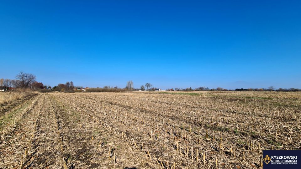 Działka Zamość