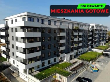 Mieszkanie Sosnowiec sprzedaż