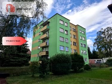 Mieszkanie Wołów
