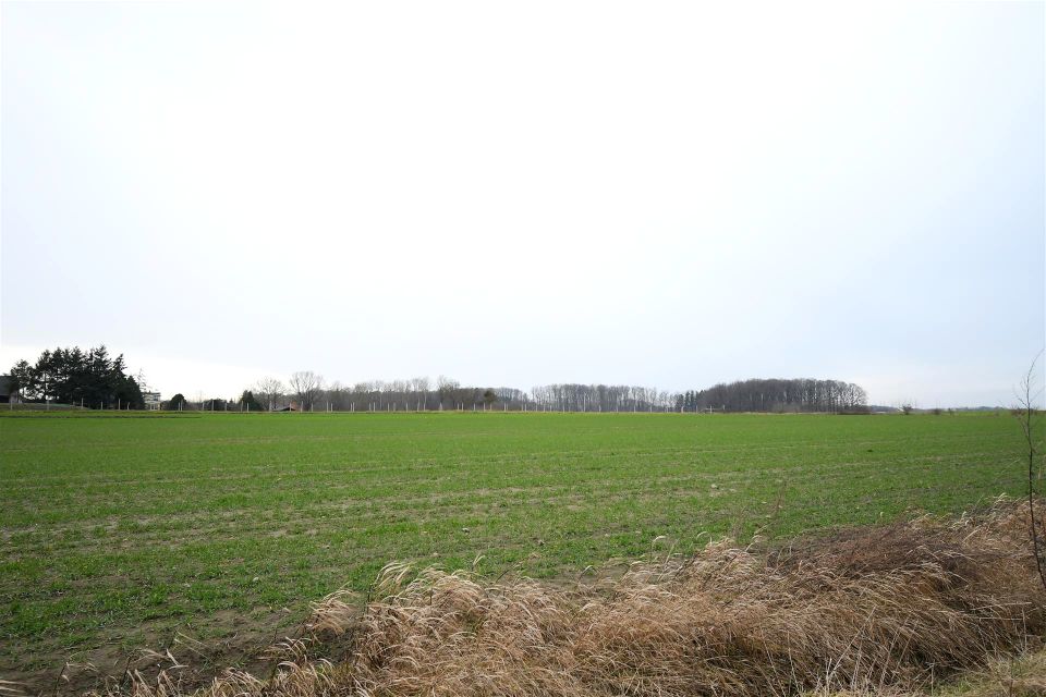 Działka inna Sławutowo