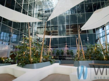Lokal Warszawa