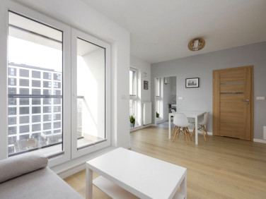 Mieszkanie apartamentowiec wynajem