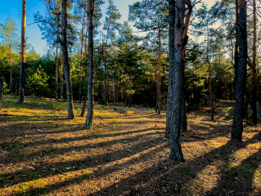 Działka Legionowo