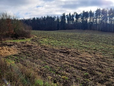 Działka budowlana Nowe Czaple