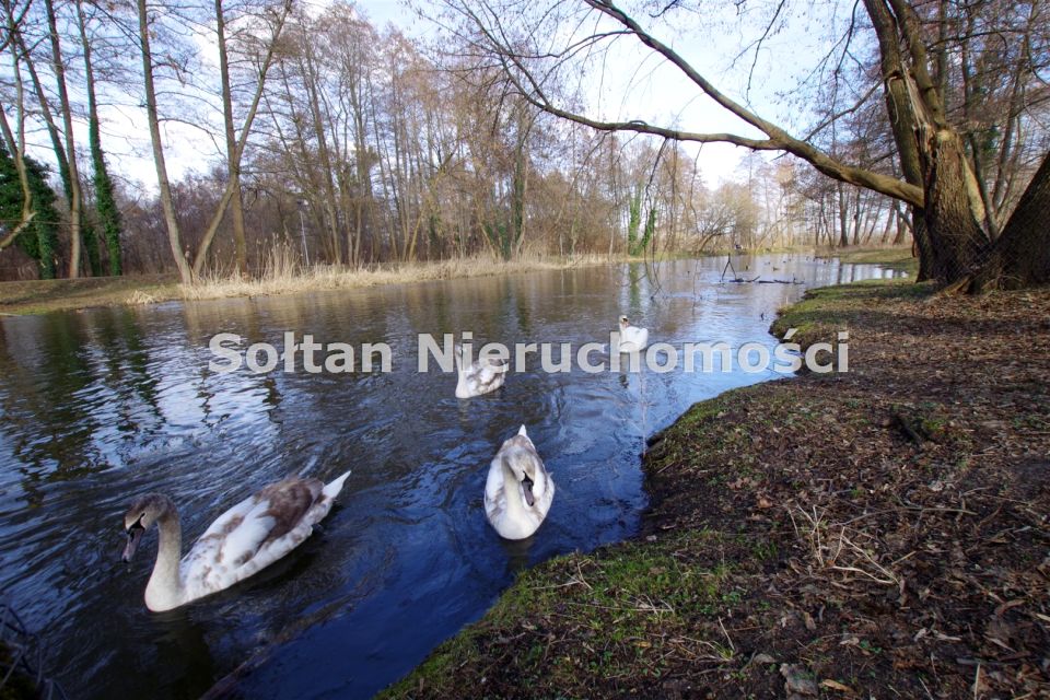 Pusta działka Konstancin-Jeziorna