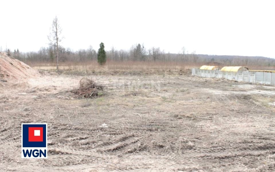 Zdjęcie 3