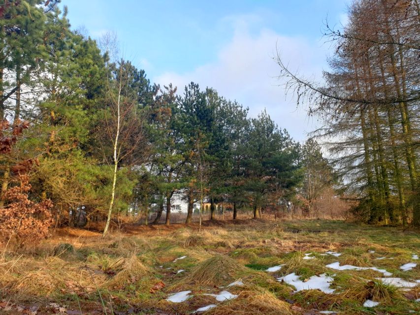 Działka inna Przyjaźń sprzedam