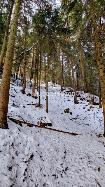 Działka Krynica-Zdrój