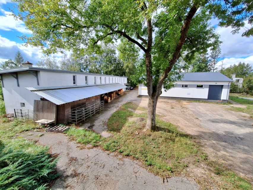 Budynek użytkowy Kalisz wynajem